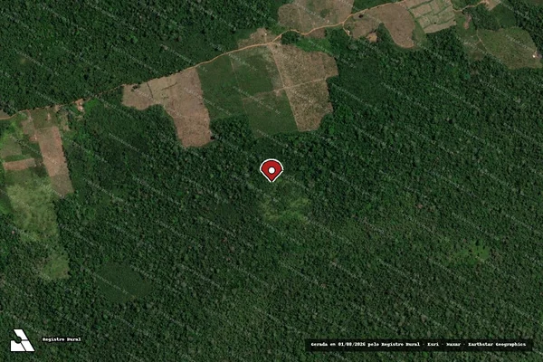 Imagem de satélite de Infração Ambiental em Altamira - PA (marcador da localização)