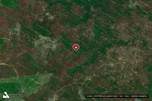 Imagem de satélite de Infração Ambiental em Belém - PA (marcador da localização)