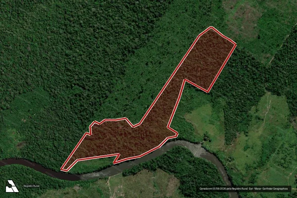 Imagem de satélite de Infração Ambiental em Apuí - AM