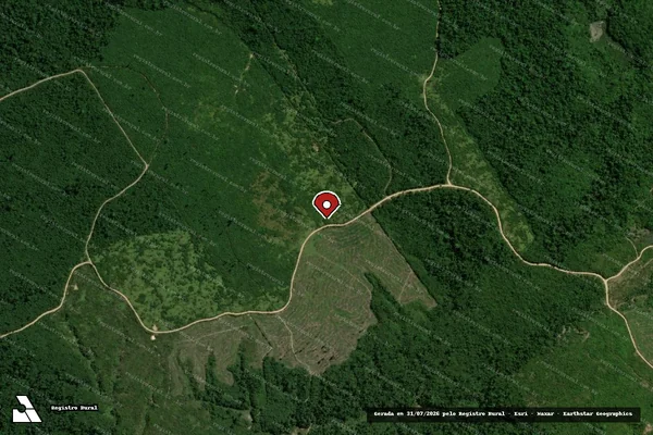 Imagem de satélite de Infração Ambiental em Paragominas - PA (marcador da localização)
