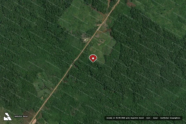 Imagem de satélite de Infração Ambiental em Manicoré - AM (marcador da localização)
