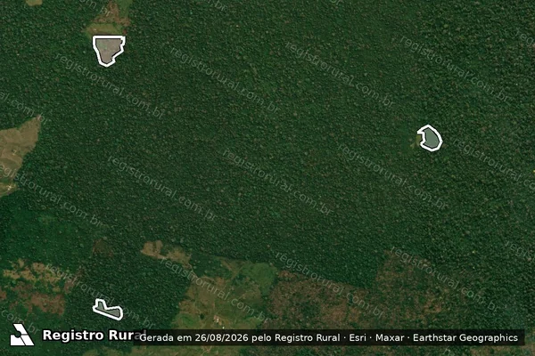 Imagem de satélite — Embargo IBAMA — Infração da Flora - Feijó/AC