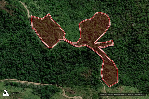 Imagem de satélite de Infração da Flora em São Félix do Xingu - PA
