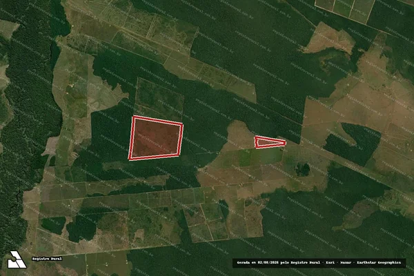 Imagem de satélite — Embargo IBAMA — Infração da Flora — Seringueiras/RO