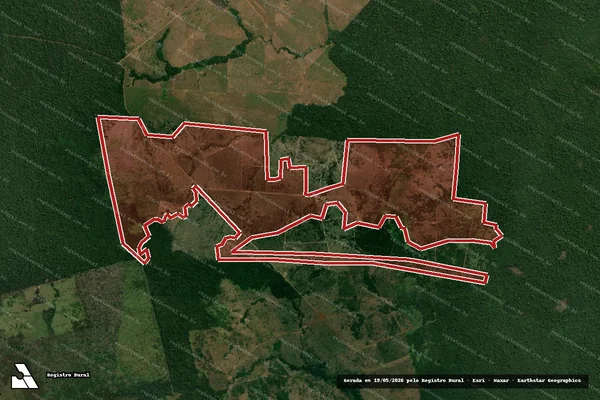 Imagem de satélite de Infração da Flora em Colinas do Sul - GO