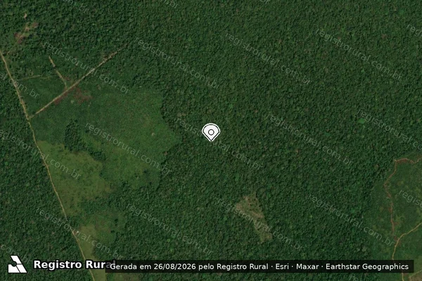 Imagem de satélite de Infração da Flora em Apuí - AM (marcador da localização)