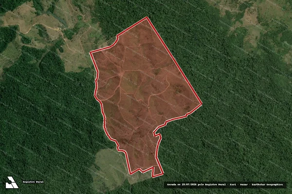 Imagem de satélite de Infração Ambiental em Pacajá - PA