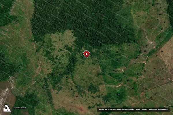 Imagem de satélite de Infração da Flora em Maués - AM (marcador da localização)