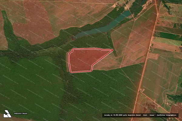 Imagem de satélite de Infração Ambiental em Bom Jesus do Araguaia - MT