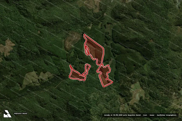 Imagem de satélite de Infração da Flora em General Carneiro - PR