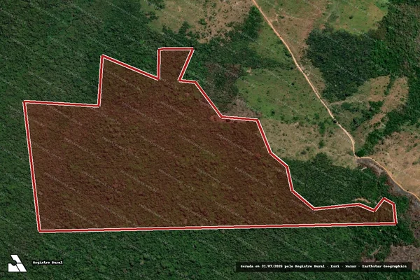Imagem de satélite de Infração Ambiental em São Félix do Xingu - PA