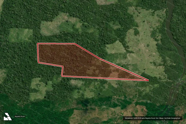 Imagem de satélite de Infração da Flora em Pacajá - PA