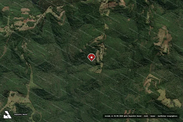 Imagem de satélite de Infração da Flora em Bom Jesus - RS (marcador da localização)