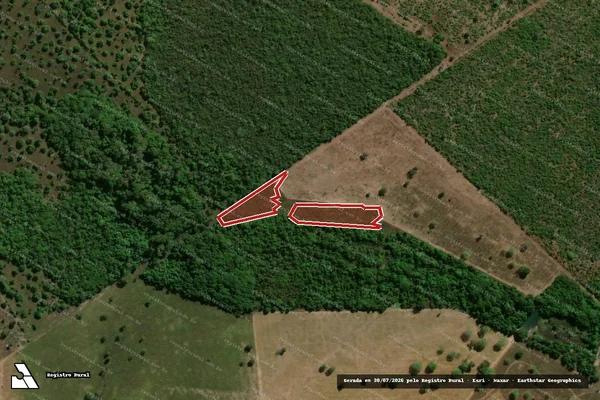 Imagem de satélite de Infração da Flora em São Miguel do Araguaia - GO