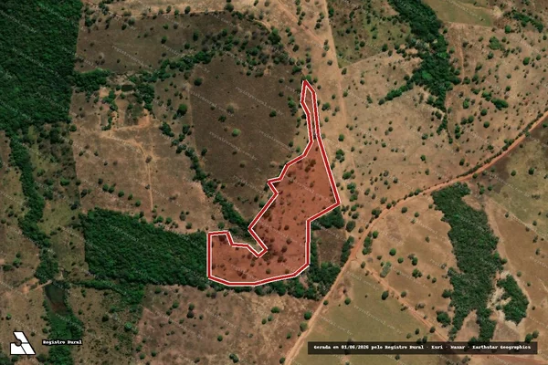Imagem de satélite — Embargo IBAMA — Infração da Flora - Crixás/GO