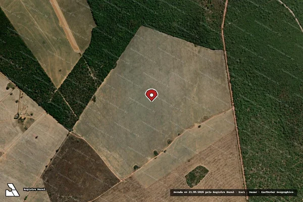 Imagem de satélite de Infração da Flora em Grajaú - MA (marcador da localização)