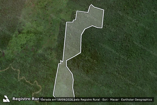 Imagem de satélite — Embargo IBAMA — Infração da Flora - São Félix do Xingu/PA