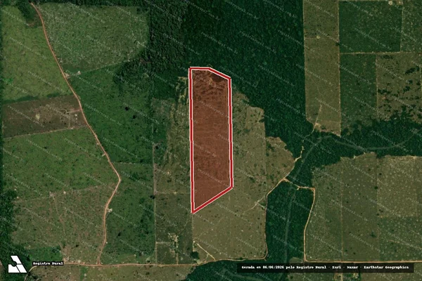 Imagem de satélite de Infração da Flora em Porto Velho - RO
