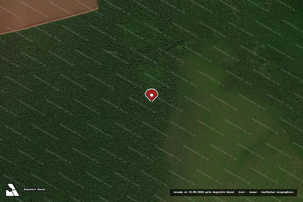 Imagem de satélite de Infração Ambiental em Feliz Natal - MT (marcador da localização)