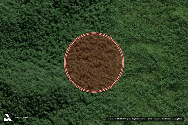 Imagem de satélite — Embargo IBAMA — Desmatamento - Garuva/SC