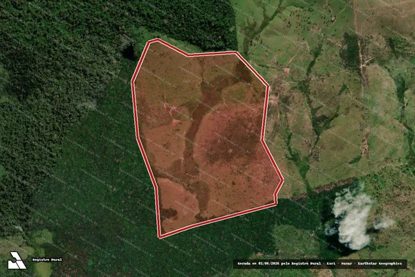 Imagem de satélite de Infração Ambiental em Uruará - PA