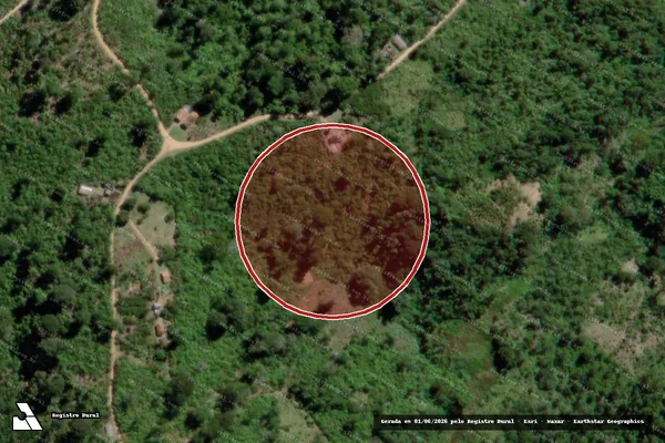 Imagem de satélite — Embargo IBAMA — Infração Ambiental — Gandu/BA
