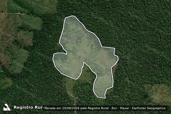Imagem de satélite de Infração Ambiental em Aripuanã - MT