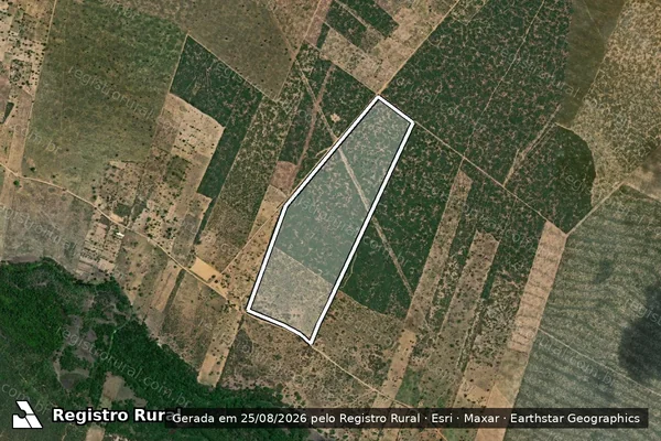 Imagem de satélite de Infração da Flora em Sátiro Dias - BA