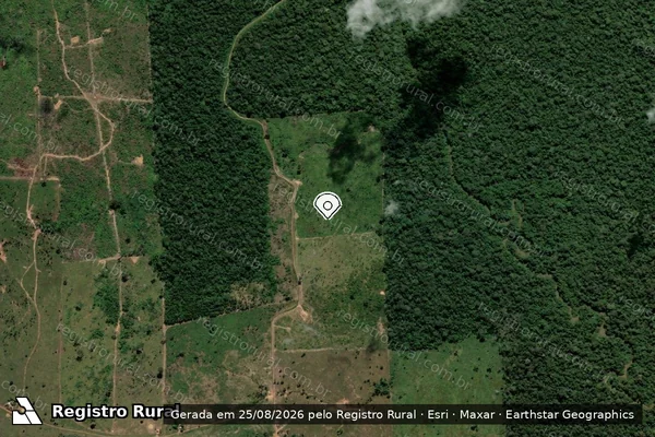 Imagem de satélite de Infração da Flora em Porto Velho - RO (marcador da localização)