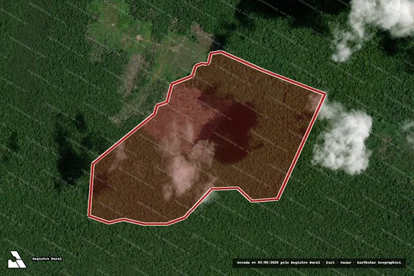 Imagem de satélite de Infração da Flora em Humaitá - AM