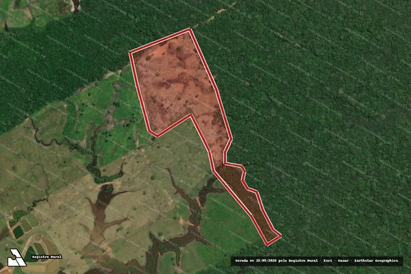 Imagem de satélite de Infração da Flora em Careiro - AM