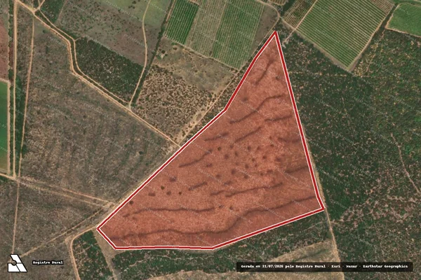 Imagem de satélite de Infração da Flora em Petrolina - PE