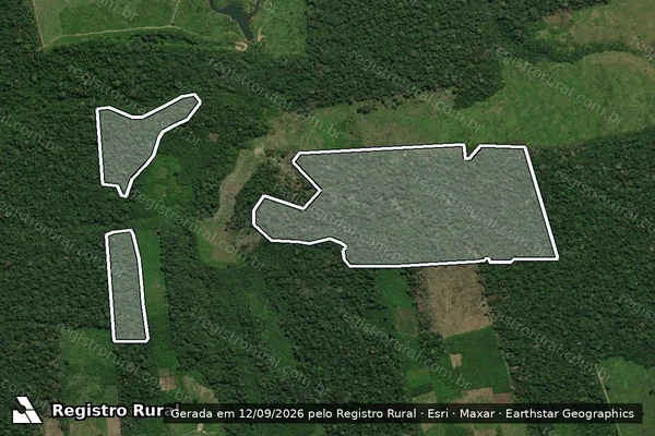Imagem de satélite de Infração da Flora em Mojuí dos Campos - PA