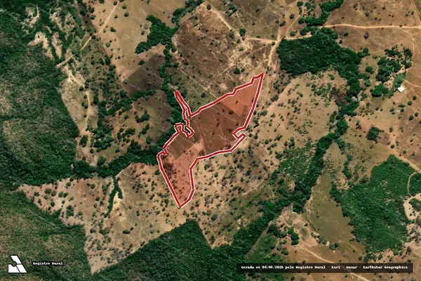 Imagem de satélite de Infração da Flora em Niquelândia - GO