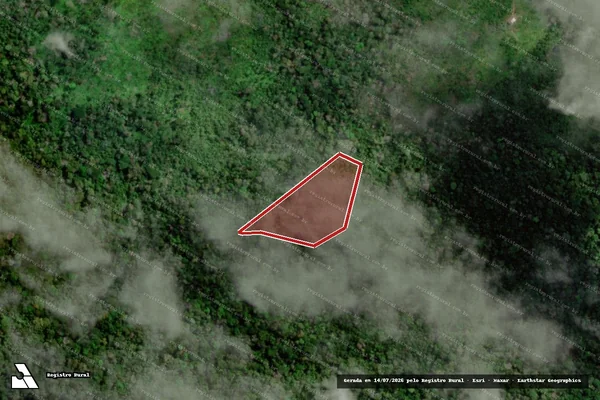 Imagem de satélite — Embargo IBAMA — Infração da Flora — Laranjal do Jari/AP