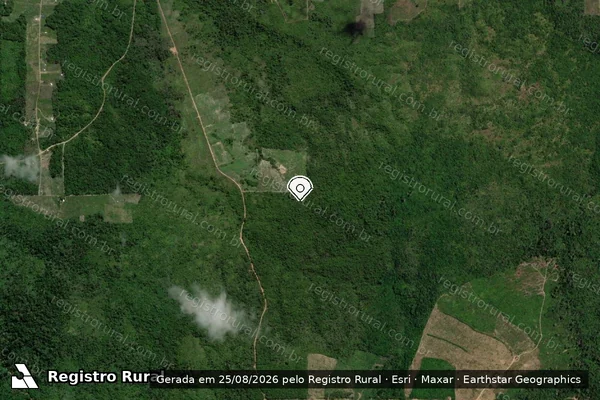 Imagem de satélite de Infração Ambiental em Ulianópolis - PA (marcador da localização)