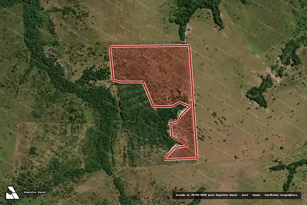 Imagem de satélite de Infração Ambiental em Arapoema - TO