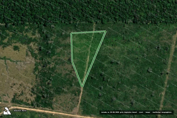 Imagem de satélite — FAZENDA TRIÂNGULO I - Lábrea/AM