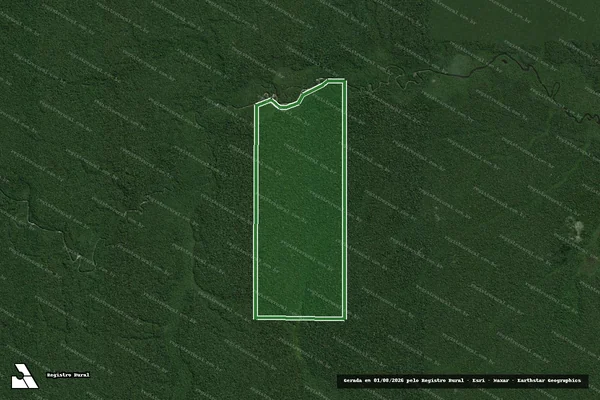 Imagem de satélite — Imóvel Rural de 705,78 ha - Manicoré/AM