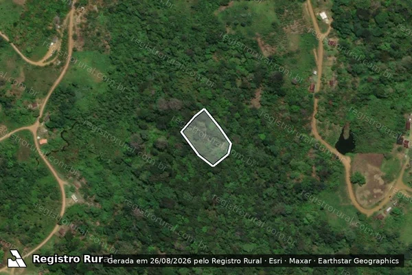 Imagem de satélite — FAZENDA RIO DO BRACO - Igrapiúna/BA
