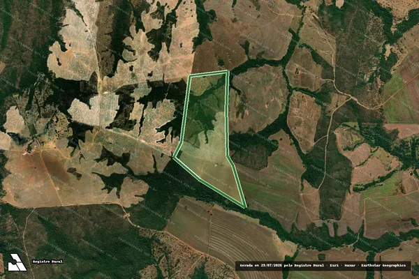 Imagem de satélite — Imóvel Rural de 86,13 ha - Ipameri/GO