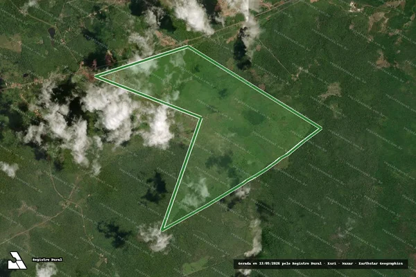 Imagem de satélite — Fazenda Bacabal - Pinheiro/MA
