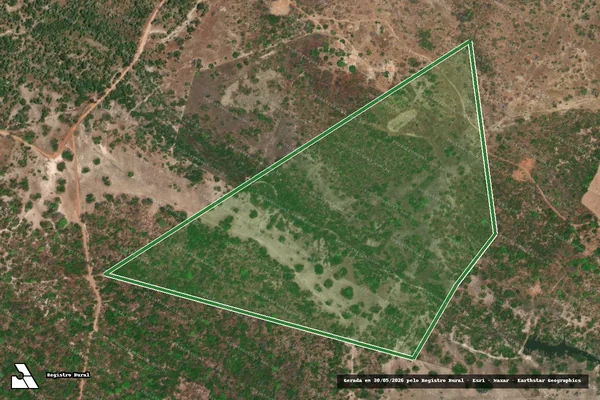 Imagem de satélite — Imóvel Rural de 34,05 ha - Beneditinos/PI