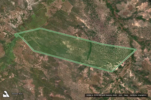 Imagem de satélite — Imóvel Rural de 344,38 ha - Bertolínia/PI