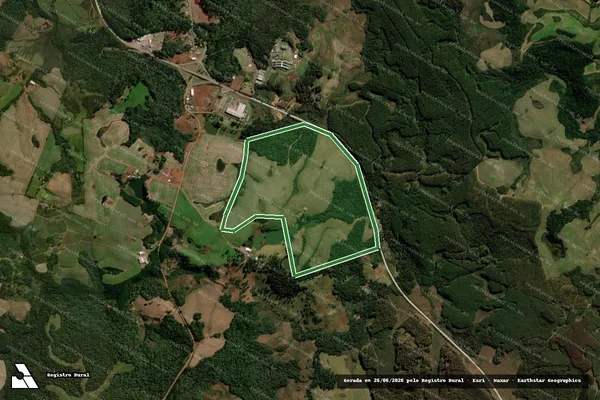 Imagem de satélite — Imóvel Rural de 103.69 ha - Palmas/PR