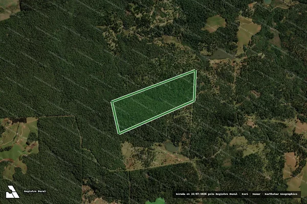 Imagem de satélite — FAZENDA RICKLI LII - Turvo/PR