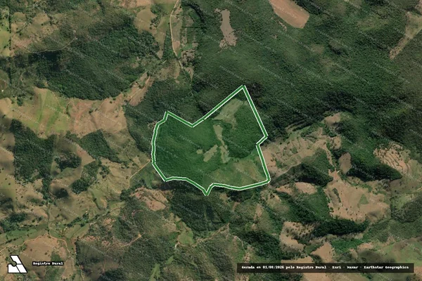 Imagem de satélite — Imóvel Rural de 124,40 ha - Macuco/RJ