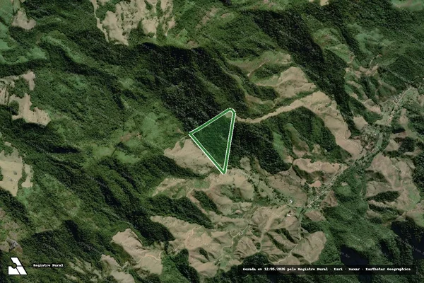 Imagem de satélite — FAZENDA ARAUCÁRIA - Resende/RJ