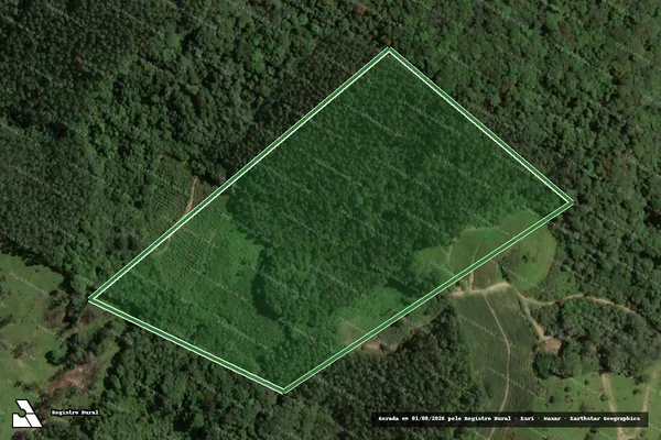 Imagem de satélite — Imóvel Rural de 7,10 ha - Santa Rosa de Lima/SC