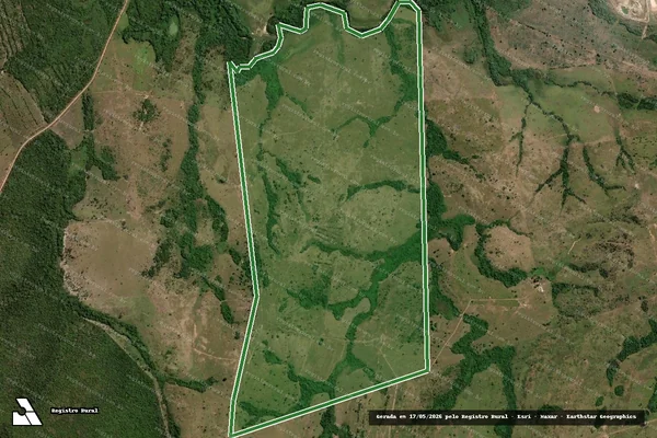 Imagem de satélite — FAZENDA SAO LOURENÇO - Arapoema/TO